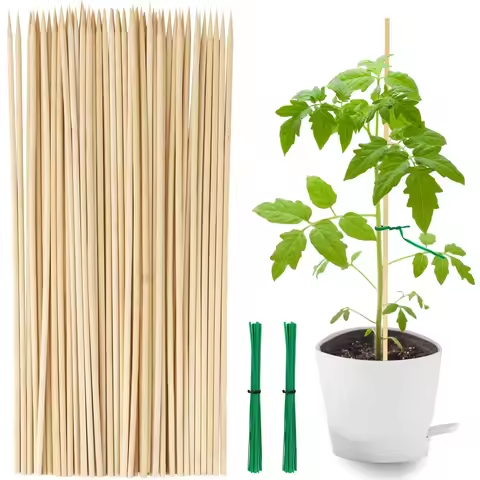 Bamboo Stick